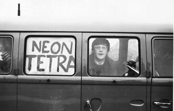 NeonTetra-1966a-thumb.jpg